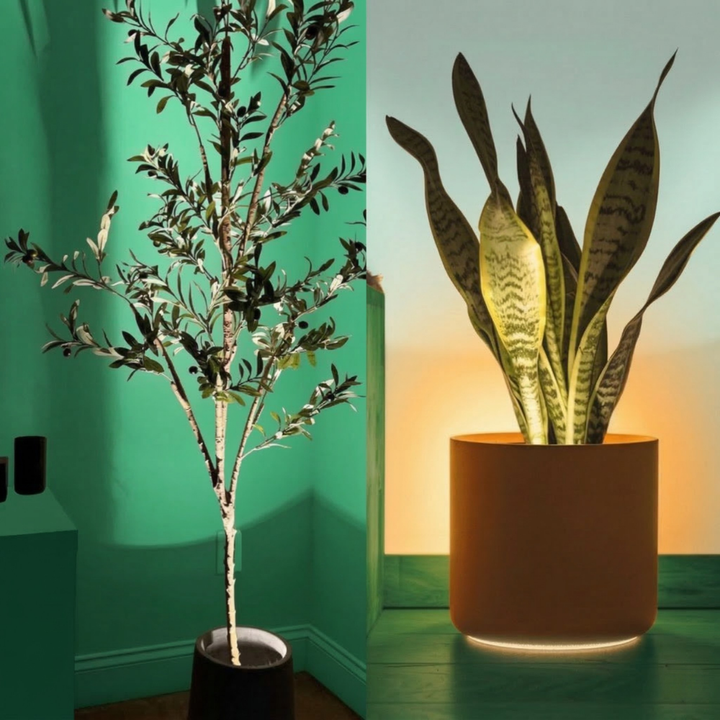 Auralis™ – Lampada d&