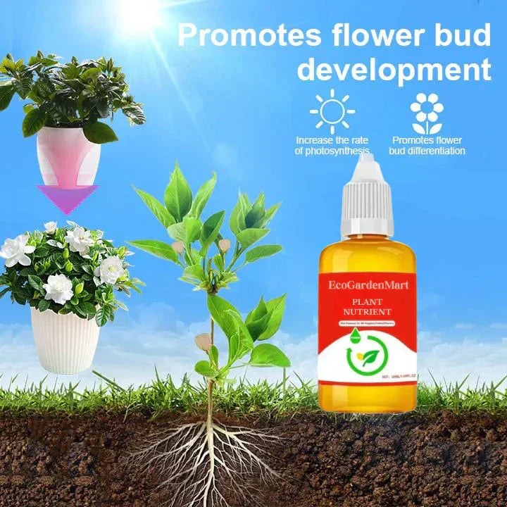 2+1 Gratuit | Récupération des Plantes Plus Rapide RootRise™