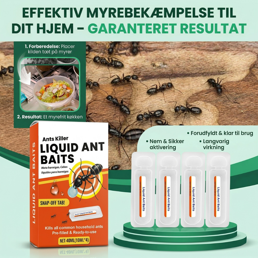 AntLure™ – Insieme Durevole per Combattere le Formiche con Esca Liquida