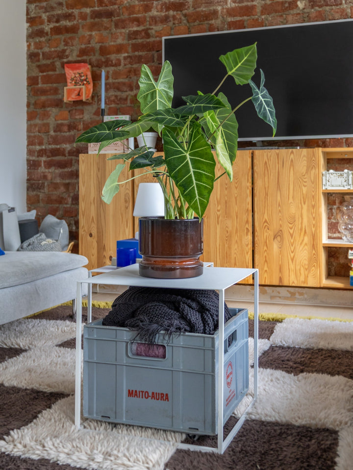 VineFrame™ – Support de Plante Élégant