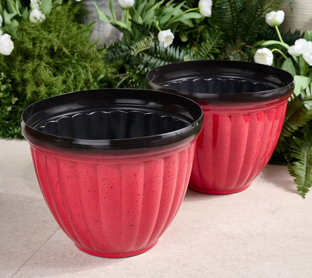 GreenNest™ Vie de Plantes Sans Soucis