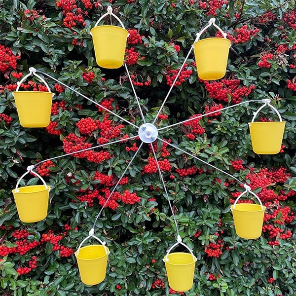FeederMagic™ Distributeur de Nourriture pour Oiseaux Fantaisiste