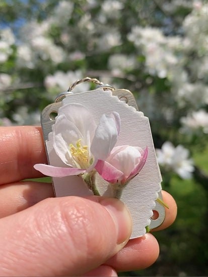 FloraPress™ Artigianato di Ricordi Botanici