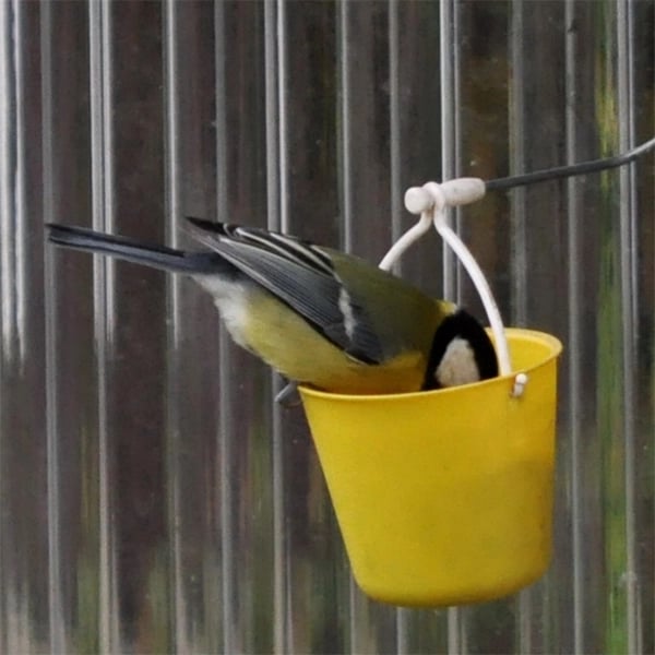 FeederMagic™ Distributeur de Nourriture pour Oiseaux Fantaisiste