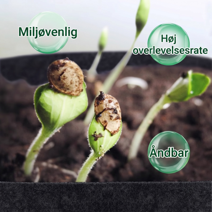 EcoSprout™ – Sacs de Plantes Réutilisables en Géotextile