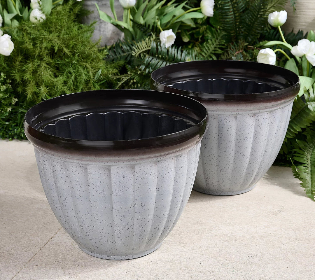 GreenNest™ Vie de Plantes Sans Soucis