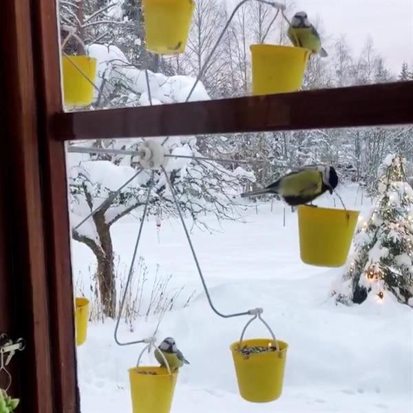 FeederMagic™ Distributeur de Nourriture pour Oiseaux Fantaisiste