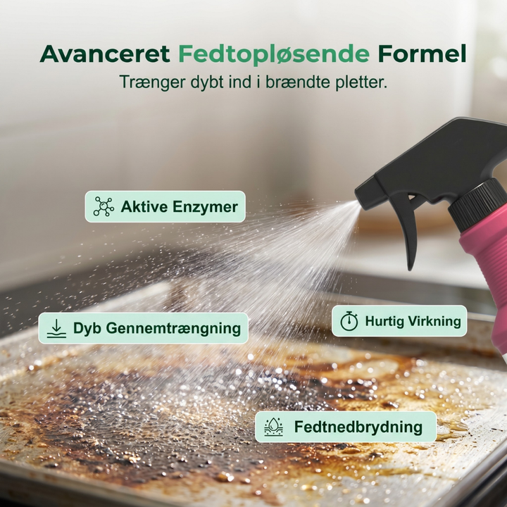SearClean™ – Spray detergente per grasso BBQ ad azione rapida
