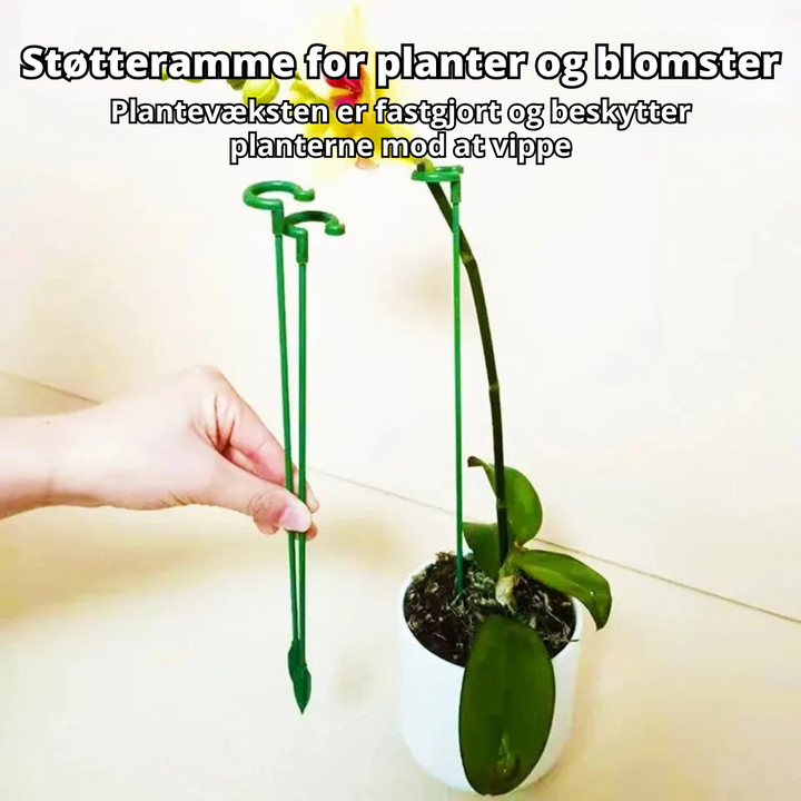 PlantGuard™ - 10 pcs. Supports de Plante Durables