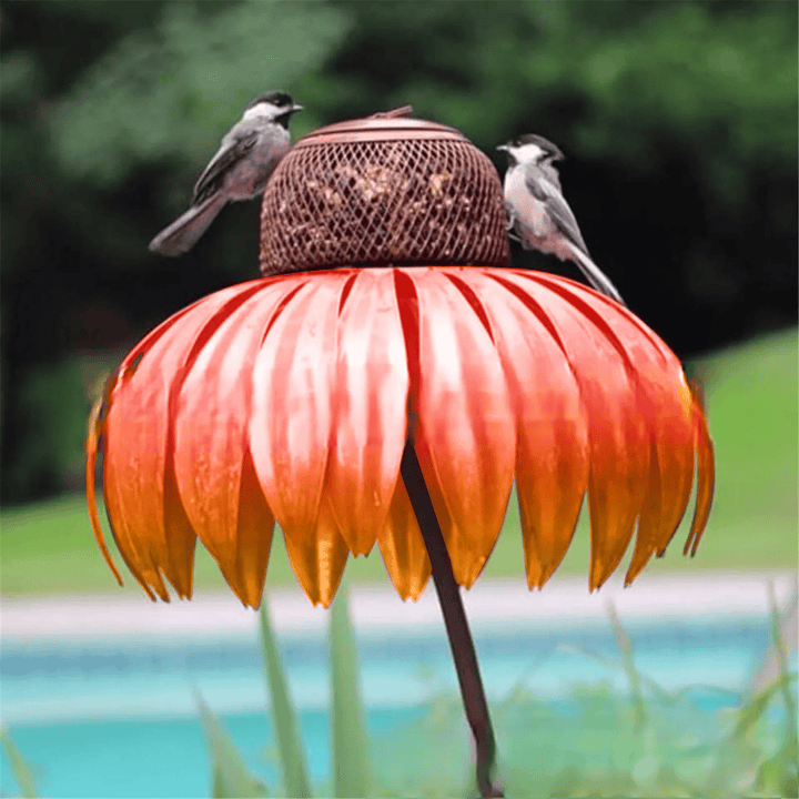 Mangiatore di uccelli a forma di fiore