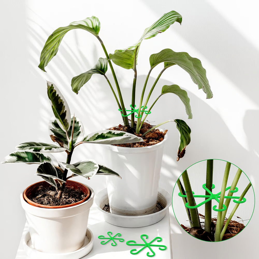 VineFrame™ – Support de Plante Élégant