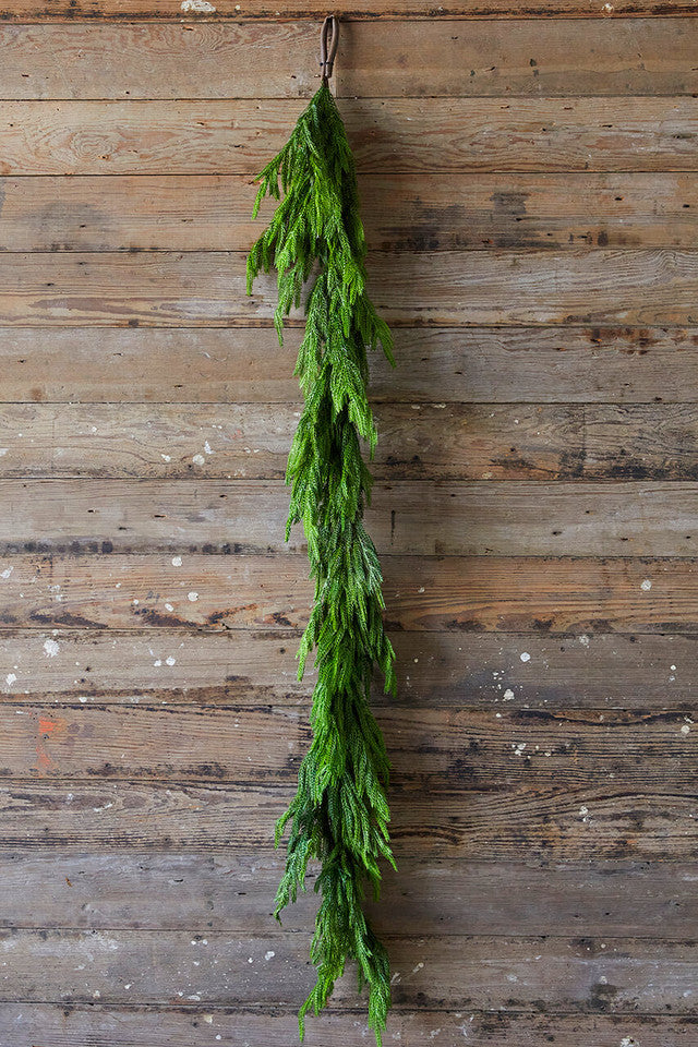 PineGrace™ Accento Festivo Eterno