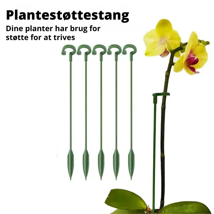 PlantGuard™ - 10 pcs. Supports de Plante Durables