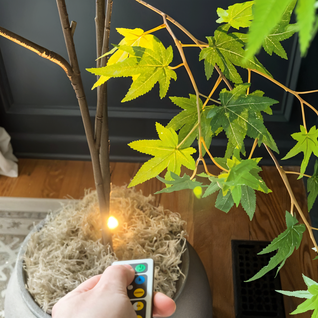 BeamLuxe: Applique LED senza fili – Illuminazione d&