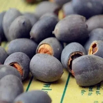 LushLotus™ Cultivez la Beauté Naturelle