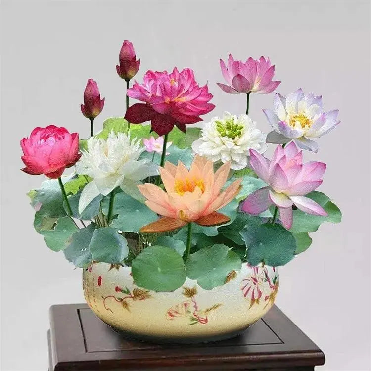 LushLotus™ Cultivez la Beauté Naturelle