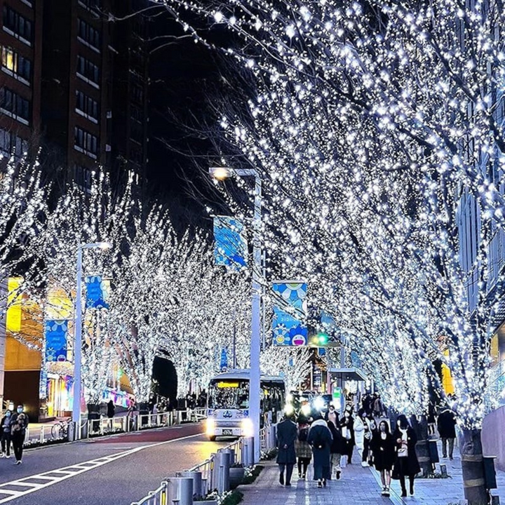 Ghirlanda luminosa a LED in filo di rame | Flessibile, malleabile e impermeabile | Per interni ed esterni