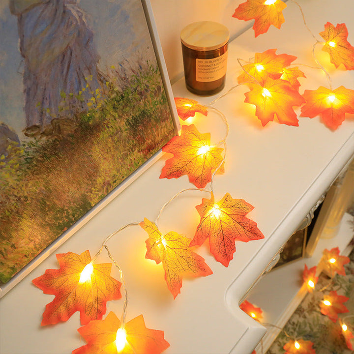 Luci decorative - Decorazioni autunnali | 50% DI SCONTO