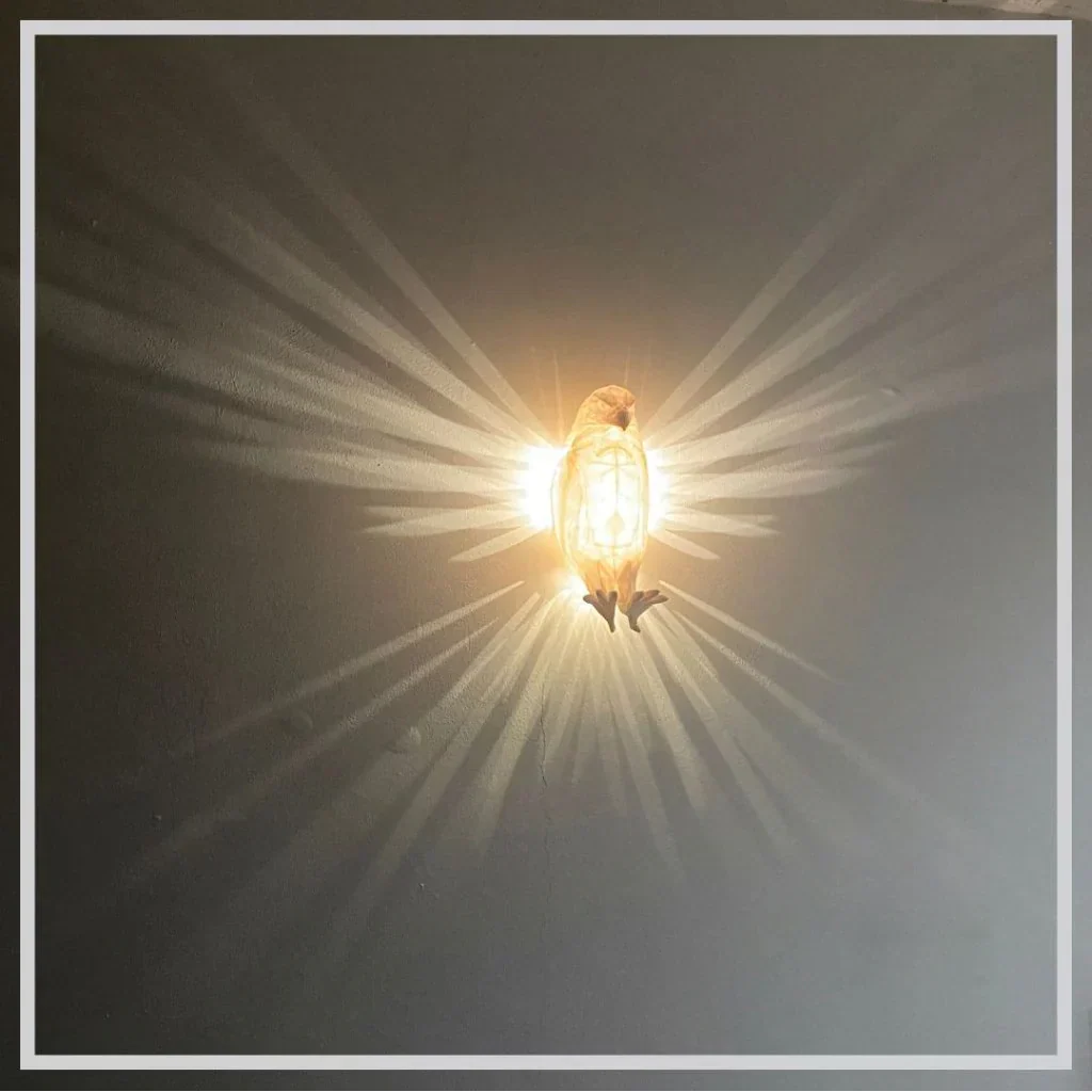 WildeSGlühen™ Illumina l&