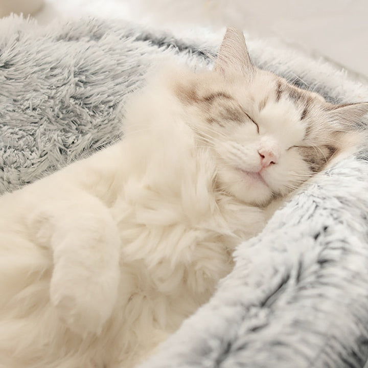 KittyLiege™ Letto rilassante per gatti