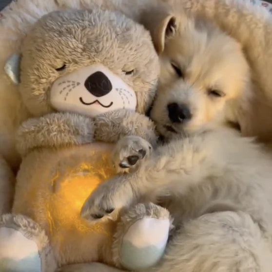 GemütlicheKuscheleinheiten™ Giocattolo di peluche calmante per neonati