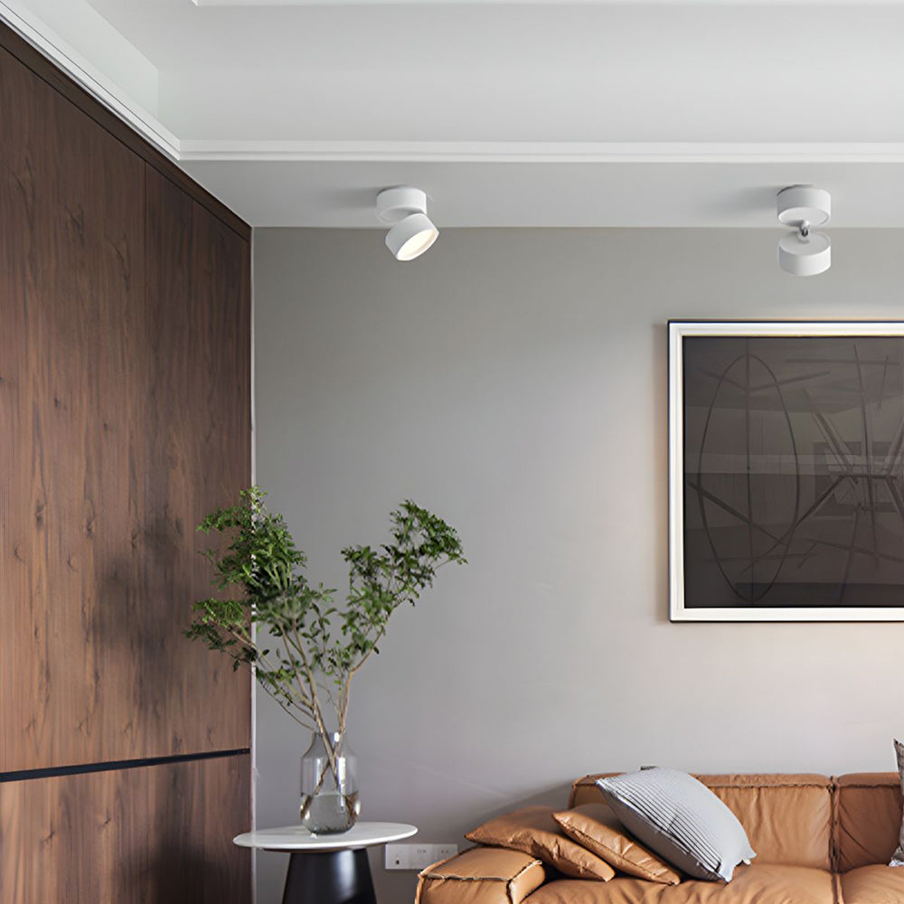 LumenFlex: Piccola lampada da soffitto LED in alluminio moderna – regolabile e funzionale per soggiorno e camera da letto