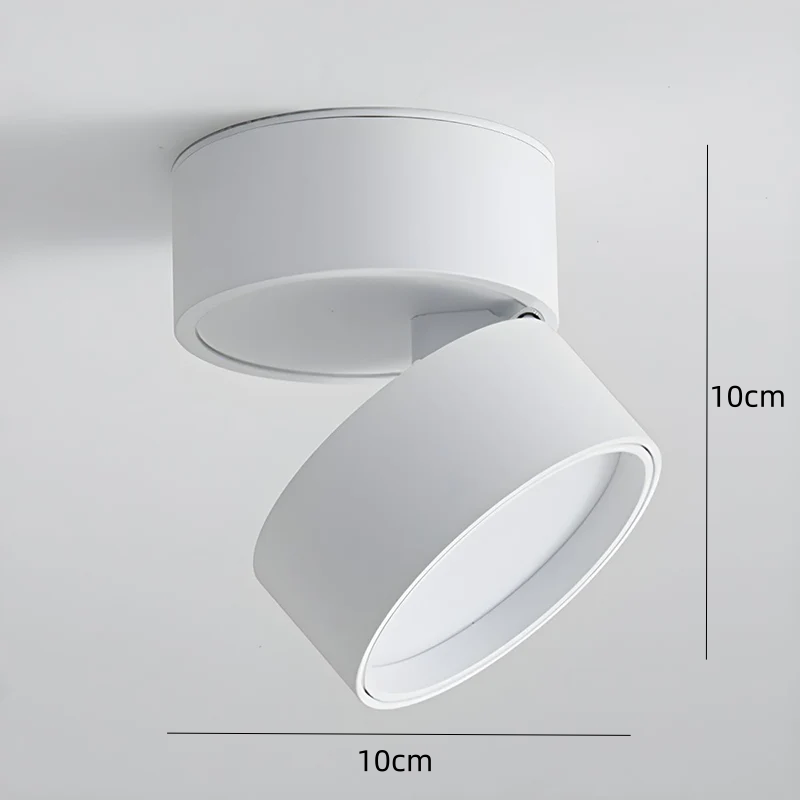 LumenFlex: Piccola lampada da soffitto LED in alluminio moderna – regolabile e funzionale per soggiorno e camera da letto