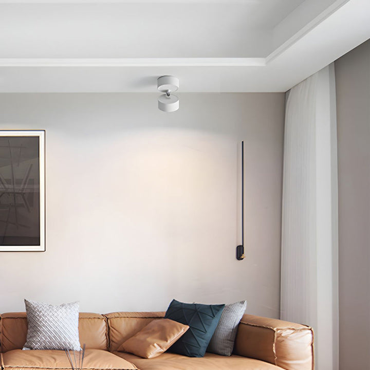 LumenFlex: Piccola lampada da soffitto LED in alluminio moderna – regolabile e funzionale per soggiorno e camera da letto