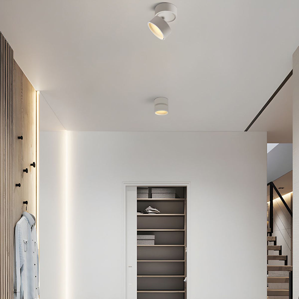 LumenFlex: Piccola lampada da soffitto LED in alluminio moderna – regolabile e funzionale per soggiorno e camera da letto