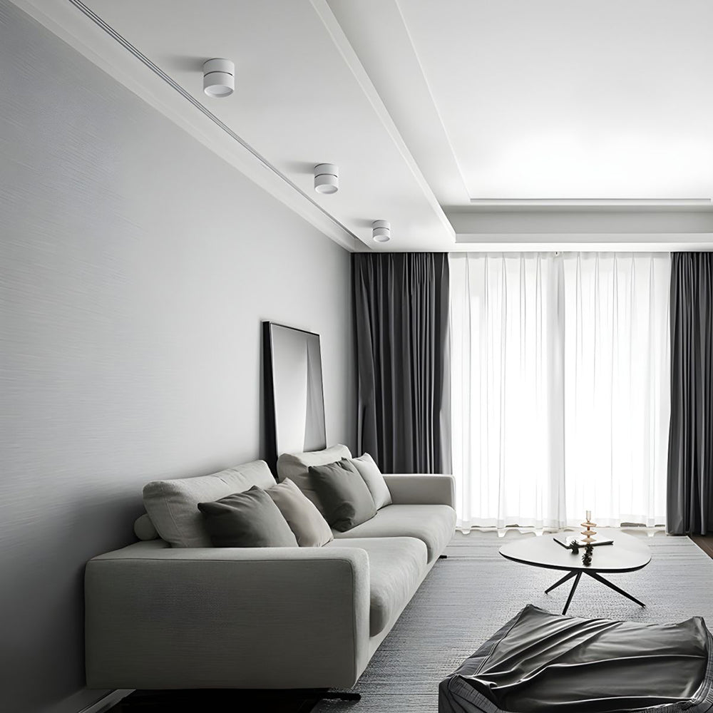 LumenFlex: Piccola lampada da soffitto LED in alluminio moderna – regolabile e funzionale per soggiorno e camera da letto