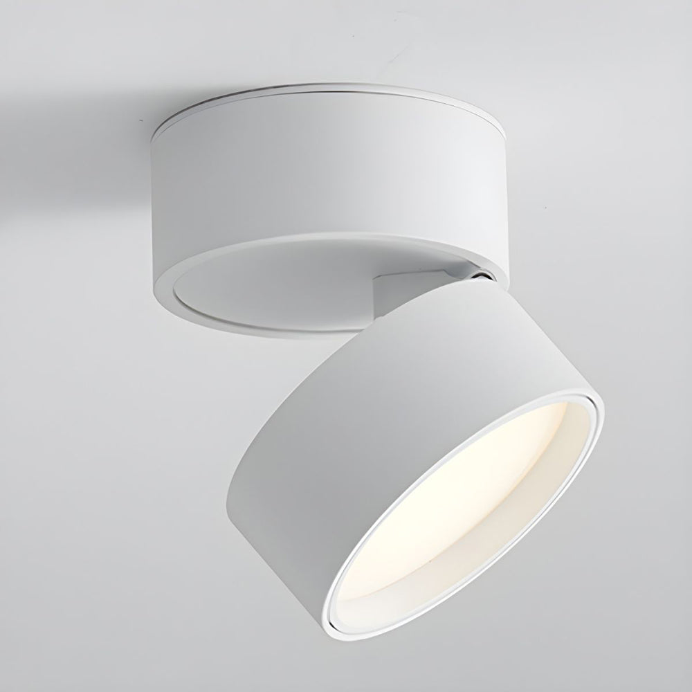 LumenFlex: Piccola lampada da soffitto LED in alluminio moderna – regolabile e funzionale per soggiorno e camera da letto