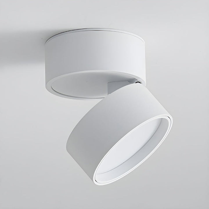 LumenFlex: Piccola lampada da soffitto LED in alluminio moderna – regolabile e funzionale per soggiorno e camera da letto