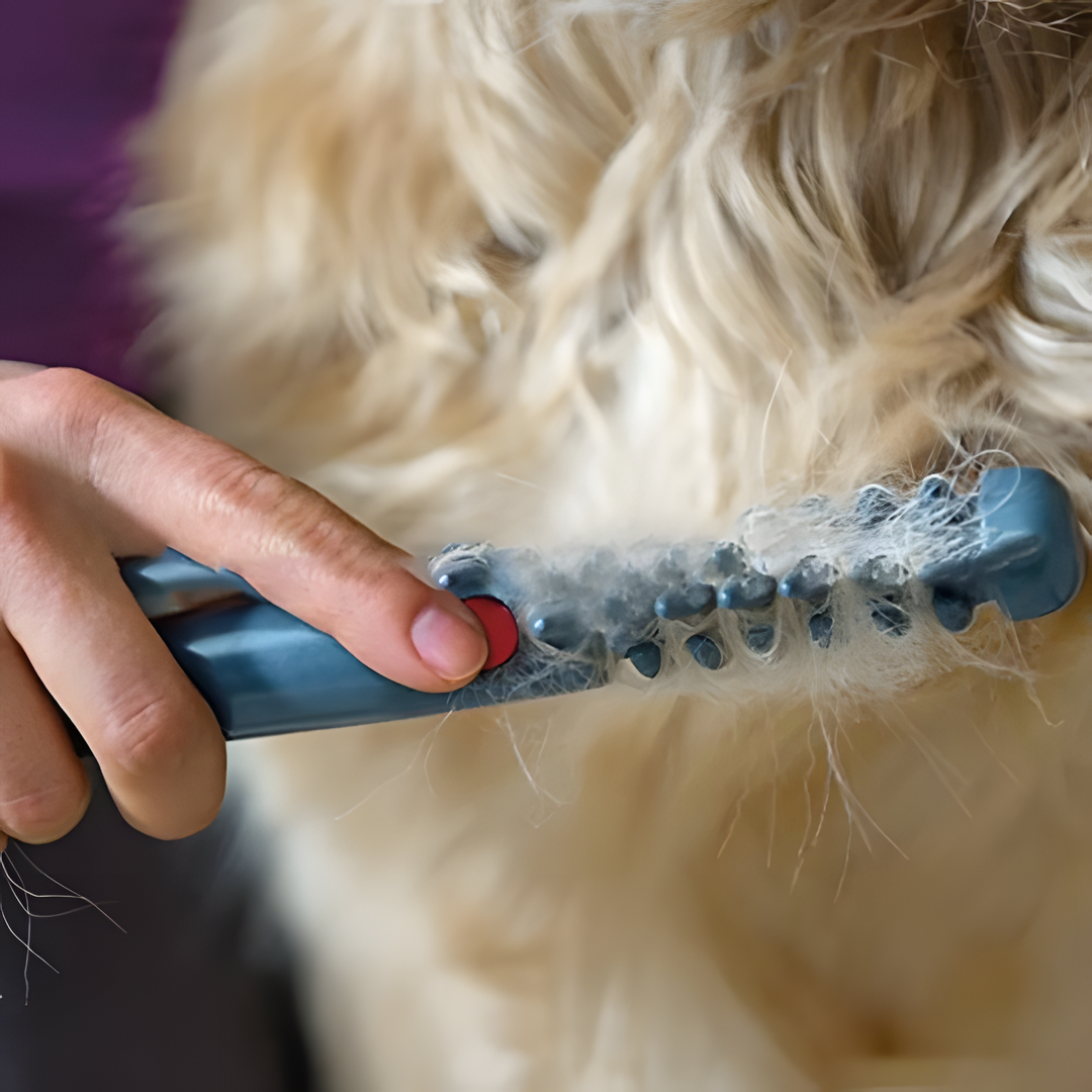 Pettine per Animali Domestici Senza Nodini né Intrecci