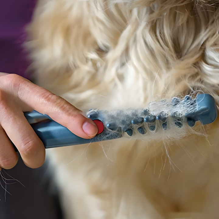 Pettine per Animali Domestici Senza Nodini né Intrecci