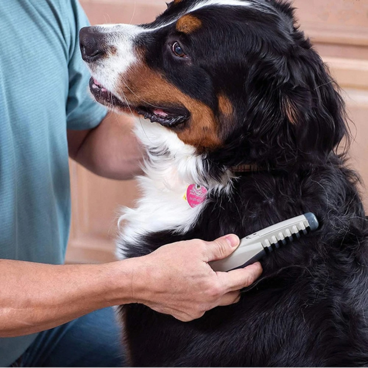 Pettine per Animali Domestici Senza Nodini né Intrecci