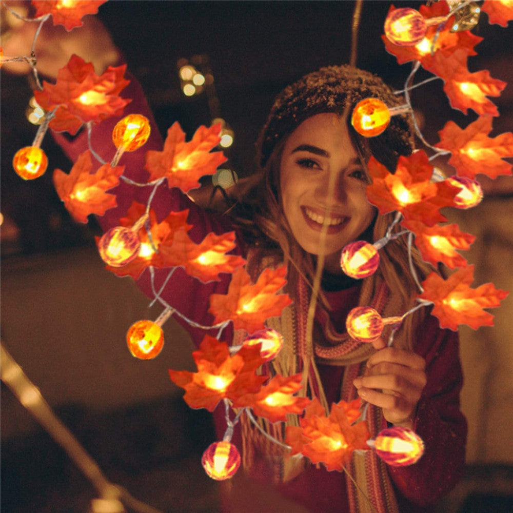 Luci decorative - Decorazioni autunnali | 50% DI SCONTO