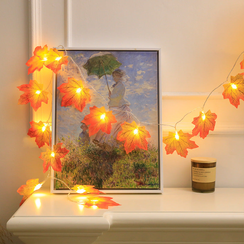 Luci decorative - Decorazioni autunnali | 50% DI SCONTO
