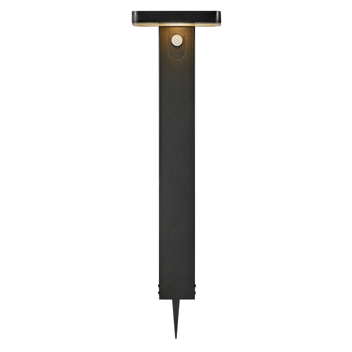 Rica Square LED Giardino Solar Spike Light, Nero