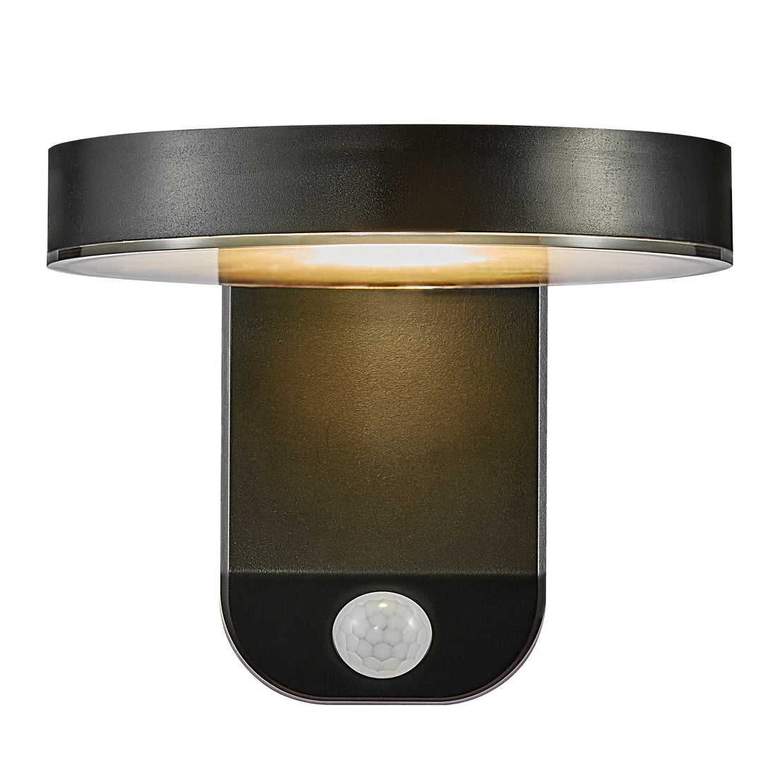 Lampada da Parete Solare LED Rotonda Rica per Esterni, Nera