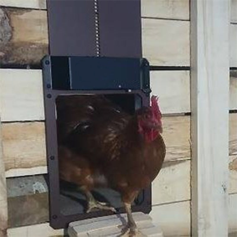 Lukentür™ Tieni al sicuro le tue galline