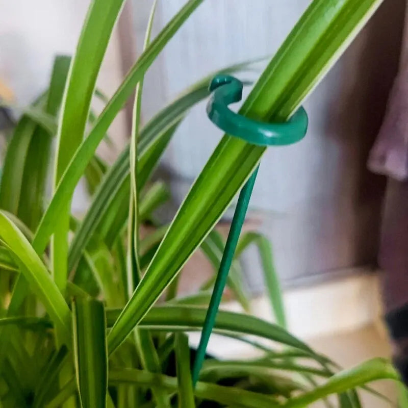PlantGuard™ – Set di 10 Supporti per Piante Durevoli