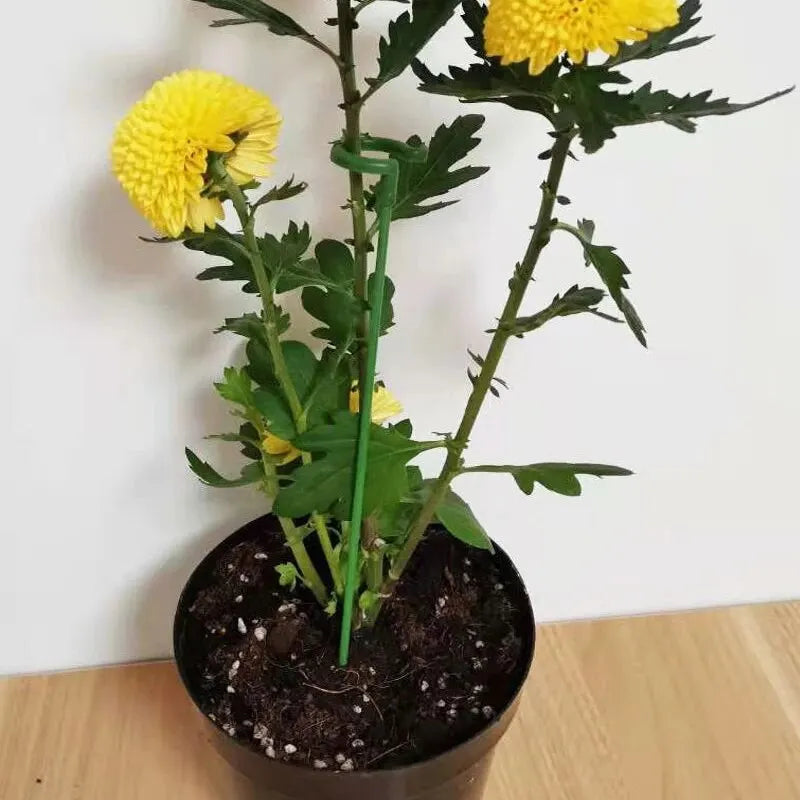 PlantGuard™ - 10 pcs. Supports de Plante Durables