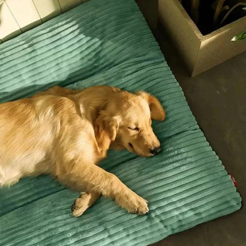 FLAUSCHNEST – Comfort Accogliente per Cani