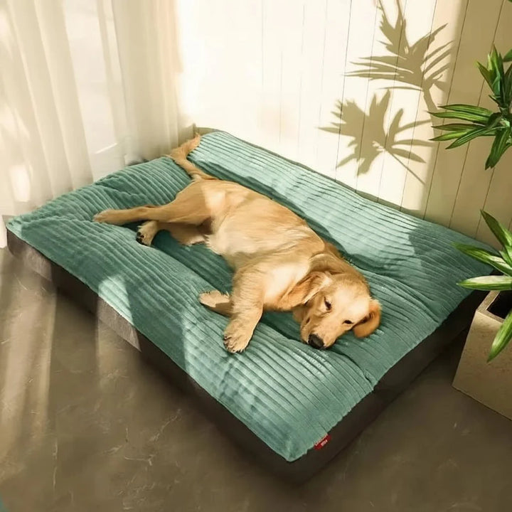 FLAUSCHNEST – Comfort Accogliente per Cani