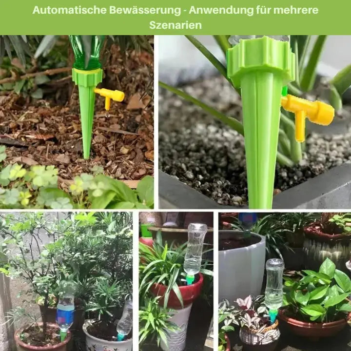 PlantDrip™ Nourriture Consistante pour Plantes