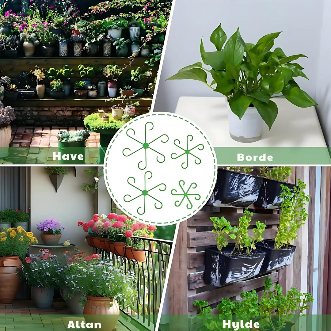VineFrame™ – Support de Plante Élégant