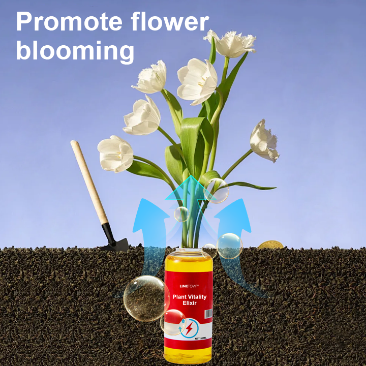1+1 Gratuit | VitalBloom™ Renforce la Croissance des Plantes