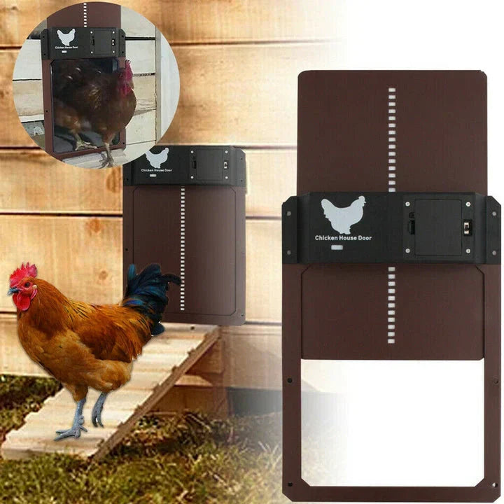 HenSafe – Porta Automatica per Pollaio