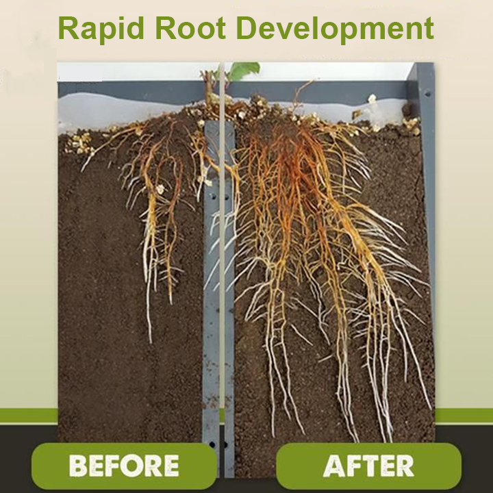 1+1 Gratuit | VitalBloom™ Renforce la Croissance des Plantes
