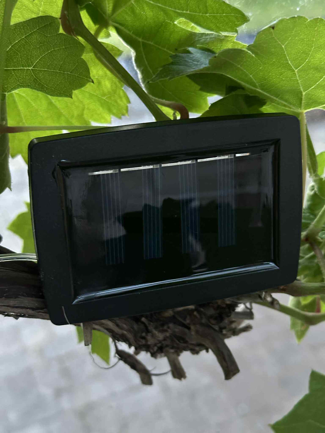 Laura™ – Guirlande LED solaire